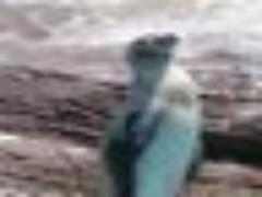 たった1杯のラーメンじゃ太りません！スリムなあの子が食べても太らない理由。