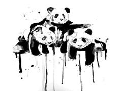 Bye-bye パンダ目。化粧崩れ0の“ノーマスカラ”メイクのすゝめ