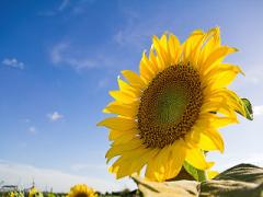 夏だからこそ！代謝UPなバスタイムで脂肪燃焼ダイエット計画