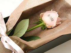 お花に想いを込めて“メッセージフラワー”をプレゼントしませんか?