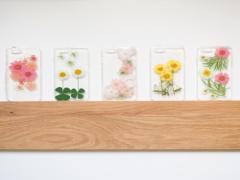 次かえるならこれ！カラー別押し花iPhoneケースを紹介♡