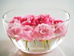 次はどんなお花が見ごろなの？牡丹と芍薬の庭園に遊びに行こう！