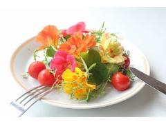夏バテに食べれるお花！エディブルフラワーでお洒落に栄養補給！