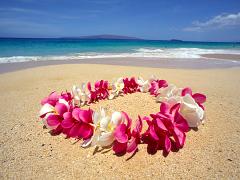 夏休みはやっぱりハワイ!4泊6日の女子旅プランを完全ガイド！