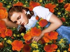 罪悪感とはおさらばしましょ♡昼寝がもたらすHAPPY効果で一日中元気な自分♩