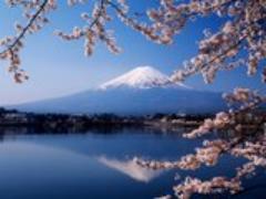 （山梨）絶品スイーツの食べ放題と詰め放題があるってウワサ♡