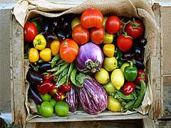 【花嫁修業その2】野菜を長持ちさせる、マル秘保存テクニック◎