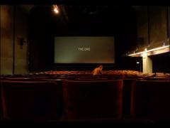 2005年をプレイバック。10年前の自分に再会する大ヒット映画4本