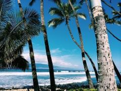 やっちゃってからではもう遅い！ハワイでの意外なNG行為6選