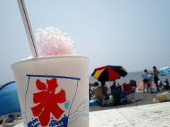 味も見た目も、かき氷の域を超えた《マツコの知らない世界》絶品かき氷店＋＠