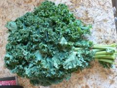 海外セレブの美の源♡野菜の王様「ケール」が注目度NO.1の美容効果