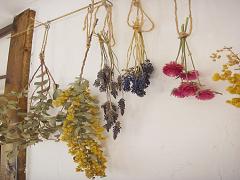毎日の生活に彩りと潤いプラス。ドライフラワーのある暮らしを