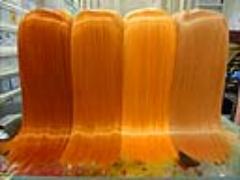 夏のシンプルで爽やかなSTYLE＋オレンジヘアで素敵女子に＊