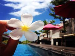 「なんだか良いにおい♩」って言われちゃお♡最強ボディソープ集めました。