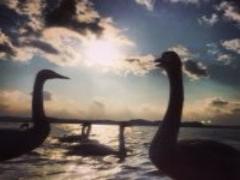 どの瞬間も絵になる！カメラ女子にはもってこい''牧場''のススメ