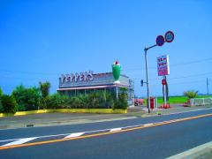 レトロでアメリカンな雰囲気溢れるカワイイ尽くしのカレー屋さん