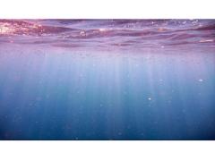 海の輝きを閉じ込めて。マーメイドネイルで気分はプリンセス♡