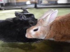 えっいつの間に？という時にチェック。青あざを早急に治すための4STEP