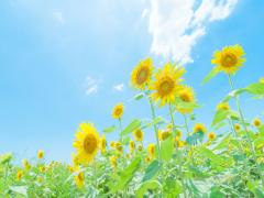 夏バテ対策“塩分”⇔女子の大敵“むくみ”。夏を楽しみたいアナタに贈る2lesson♭