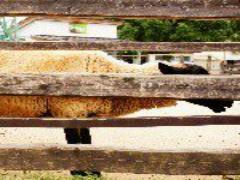 ここ、本当に日本！？リゾート感満載の○○県にこの夏行きたい♡！