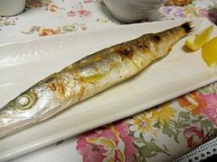 かますファンは寄っといで！いろいろアレンジレシピ集