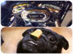 秋、恥をかかないために。今年こそうっかりサンダル焼けを防止せよ！