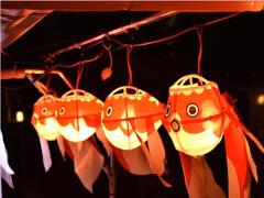 金魚のちょうちんにきゅんっ♡日本橋の"納涼金魚船"で粋なひとときを