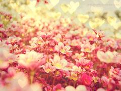 憧れのモデルさんみたいになりたい女の子に必見！実際にやっているネイル♡