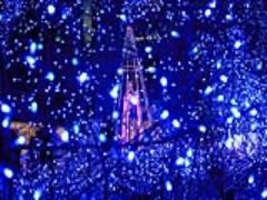 2015年の夏は花火よりも光で♡関東でおすすめの夏イルミネーション3選