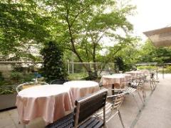 お昼からちょっと贅沢に♩六本木で美味しいランチが楽しめるお店♡