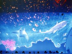 光と水のコラボレーション♡この夏のデートは幻想的な水族館で決まり！