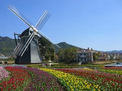 まさに「夏の夜の夢」。夏休みに訪れたい！期間限定の光スポット4選