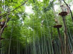 夏休み最後の思い出作り。都内から日帰りで行ける埼玉の人気スポット3選