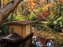 秋デート、どこに行く？都内近郊の秋デートにおすすめのスポット