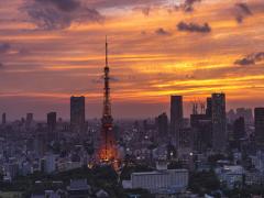 【都内】どこか切なく、美しい。東京を照らす、きれいな夕焼けが見れる駅近スポット