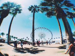 手ぶらでBBQならここ♡豊洲のアウトドアパーク「WILDMAGIC」が気になる！