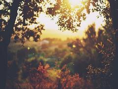 あえて艶は消す。マットネイルで演出する秋の大人モードガール