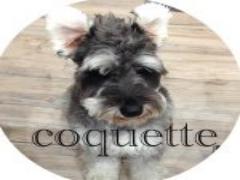 海モチーフ＝"水色"とは限らない。ガーリーな"青みピンク"で女子力UP♡