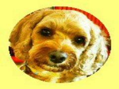 嫉妬されるツヤ感を。 話題の"ルミナイザー"でピチっとウルっと肌を仕込む