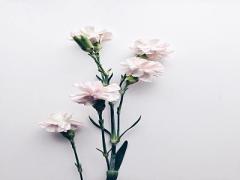 ”ありがとう”を伝える旅に出よう♩親子で行きたい旅の成功point＊