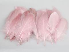 幸運を呼び込んでくれる！ラッキーモチーフのフェザーネイルデザイン