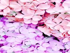 2015年夏の水着は3Dフラワーが流行中！ネイルもお花をつけてみよう♡