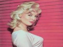 妖精の粉をまとったみたい＊いつものヘアメイクにキラキラをプラス