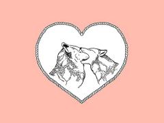 エレガントなキュート顔を作る！ピンク×ボルドーメイクのひみつ。