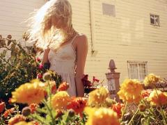 【全国お花MAP】花言葉にのせて”夏”のお花見でHAPPYパワーを注入♡