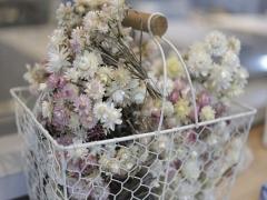 女性らしさを惹きだして♡ドライフラワーネイルで上品な印象に。