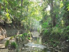 新緑めぐりやこれからの紅葉の季節におすすめ！東京近郊の自然が綺麗なスポット