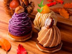 食欲の秋に負けないで‼夏の努力を無駄にしない秋ダイエット開始宣言