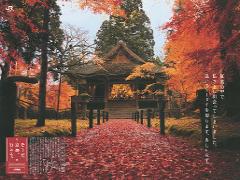 夏の涼を感じに！京都のおすすめ穴場観光スポット！