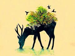 2015夏、いつもと違うことがしたいあなたに。“真夏の夜の動物園”全国map